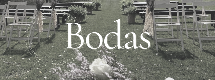 Bodas